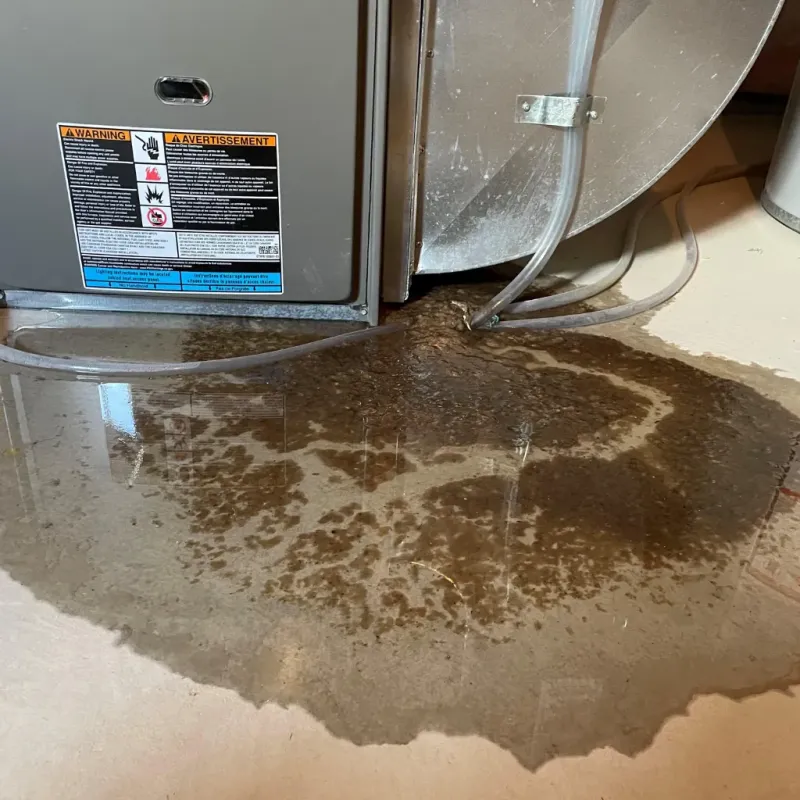 Appliance Leak Cleanup in Charles County, MD